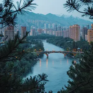 呤字的笔顺怎么写，正确写法详解