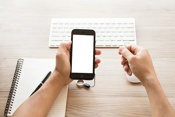 法律和什么关联